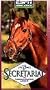 The Life and Times of Secretariat - An American Racing Legend