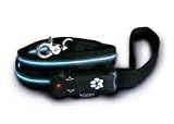Pet Supplies : Lighted Dog Leash - Ice Blue