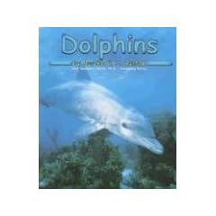 Dolphins (Ocean Life)