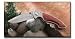 Kitchen & Housewares : Honed Liner Lock Knife