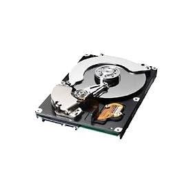 Samsung SpinPoint P80SD - Hard drive - 80 GB - internal - 3.5" - SATA-300 - 7200 rpm - buffer: 8 MB