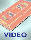 Automotive Collision Repair Video Series