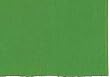 Durable Hand Woven 100% Cotton Placemat 12x18 Inches Green Set of 6