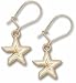 Houston Astros 7/16" Star Dangle Earrings - title=