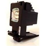 Replacement projector / TV lamp TY-LA2006 for Panasonic PT-61DLX26 / PT-61DLX76 / PT-56DLX76 PROJECTORs / TVs