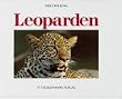 Leoparden: Die geheimnisvollen Katzen