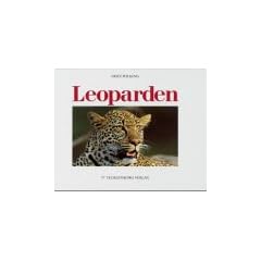 Leoparden: Die geheimnisvollen Katzen