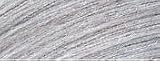 SHADES EQ 08T SILVER - Light Titanium Blonde 2 OZ.