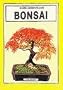Bonsai (Spanish Edition)