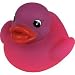 Colour Changing Duck