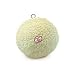 Pet Supplies : Spot Vermont Style Chew Fleece Disc Dog Toy with Squeaker 5'' (5'' chew toy)