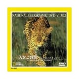 美女と野獣 ヒョウとイボイノシシ [DVD]