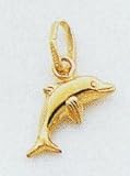 Dolphin Charm