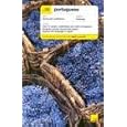 Teach Yourself Portuguese Complete Course Package (Book + 2CDs) (TY: Complete Courses)