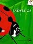 Ladybugs (Old Edition) (Great Explorations in Math and Science)