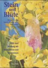 Stein und Bl&uuml;te - Hilfe und Heilung mit Bach- Bl&uuml;ten und Edelsteinen - Michael Gienger, Luna S. Miesala-Sellin, Ines Blersch