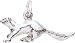 Jewelry : Ferret Charm by Rembrandt Charms