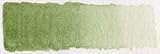 Schmincke Green Earth 1/2 pan Watercolor