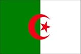 2 x 3 FT - ALGERIA FLAG - INDOOR-PARADE