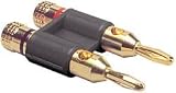 Dayton BADP-GBK Gold Dual Banana Plug Black