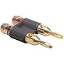 Dayton BADP-GBK Gold Dual Banana Plug Black