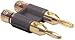 Dayton BADP-GBK Gold Dual Banana Plug Black