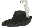 Cavalier Costume Hat