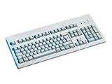 Cherry G81 3000 - Keyboard - USB - light gray - English - US