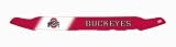 EGR 303110OSU Ohio State Buckeyes Collegiate Shield