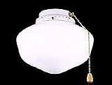 Single Light Schoolhouse Appliance White Finish