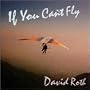 If You Can't Fly