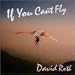 If You Can't Fly