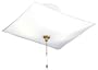 Westinghouse #66200 2 Light SQ Ceiling Fixture