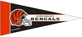 Cincinnati Bengals NFL Mini Pennants - 8 Piece Set