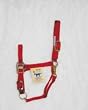 Hamilton Quality 1" Nylon Horse Halter with Adjustable Chin and Snap, Red, Large (1100-1600 lbs)