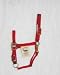 Hamilton Quality 1