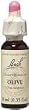 Olive - 20 ml - Liquid Olive - 20 ml - Liquid