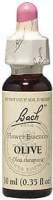 Olive - 20 ml - Liquid