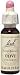 Olive - 20 ml - Liquid