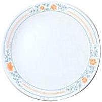 Corelle Livingware 8 1/2 Inch Luncheon Plate, Apricot Grove 215T8RS146L Corelle Livingware 8 1/2 Inch Luncheon Plate, Apricot Grove
