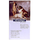 Advantage 4pk Dog Blue Over 55 Lbs