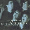 VA-One Spirit Many Voices-REPACK-CD-FLAC-2002-EMG Download