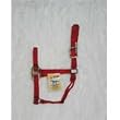 Hamilton Quality 1" Nylon Horse Halter, Red, Average (800-1100 lbs)