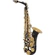 Amati AS43 Intermediate Alto Saxophone Gold Lacquer