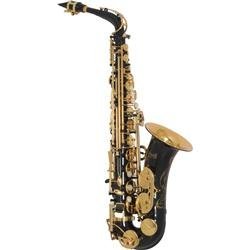 Amati AS43 Intermediate Alto Saxophone Gold Lacquer