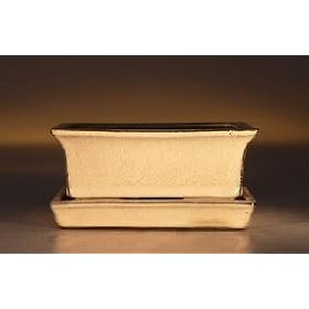 Bonsai Boy's Rectangle - Glazed Beige<br />5.0″x4.0″x2.2″” /></a></p>
<p>  Professional grade with matching tray. 5.0″x4.0″x2.2″ </p>
<p>   <a href=