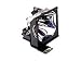 Epson - Projector Lamp
