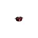 Staub 6 Quart Coq Au Vin Cocotte, Grenadine