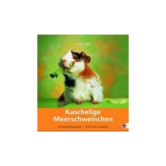 Kuschelige Meerschweinchen 2005. Postkartenkalender