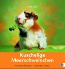 Kuschelige Meerschweinchen 2005. Postkartenkalender